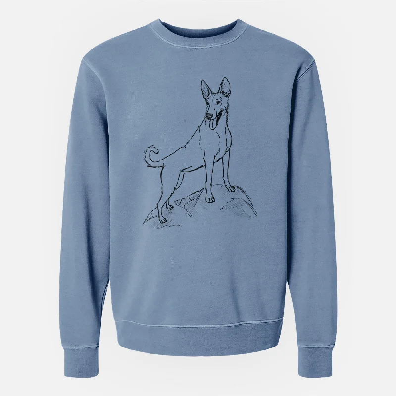 Doodled Mochi the Carolina Dog - Unisex Pigment Dyed Crew Sweatshirt